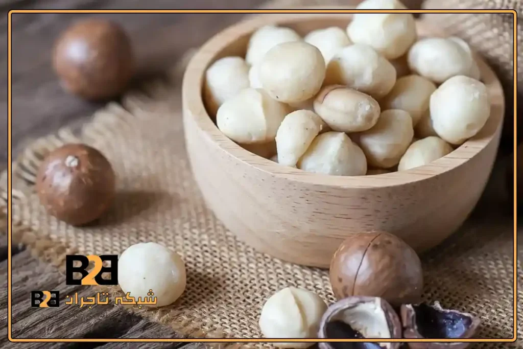 خواص بی نظیر ماکادمیا برای سلامت و تغذیه روزانه
