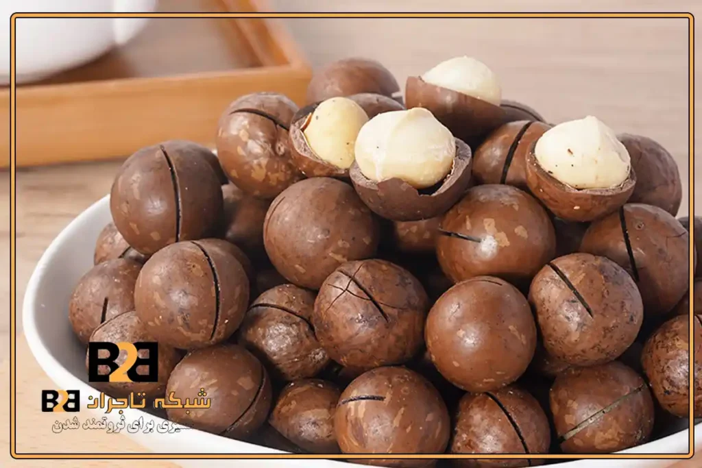 ماکادمیا جامبو تازه و درشت مناسب خرید عمده