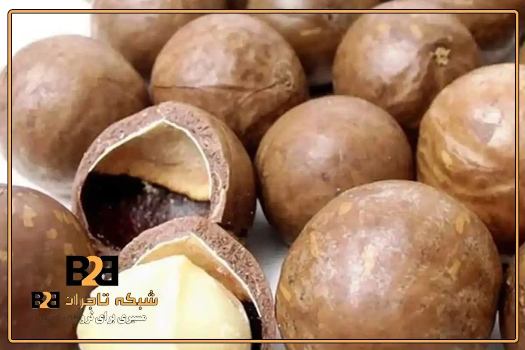 لیست قیمت به روز ماکادمیا برای خرید سریع و آسان